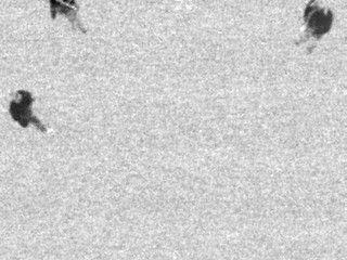 Art for 2015-10-22-20-37-27-908